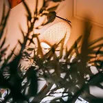 Nocleg ze śniadaniem Quinta Japonesa Carvalhal Bemfeito