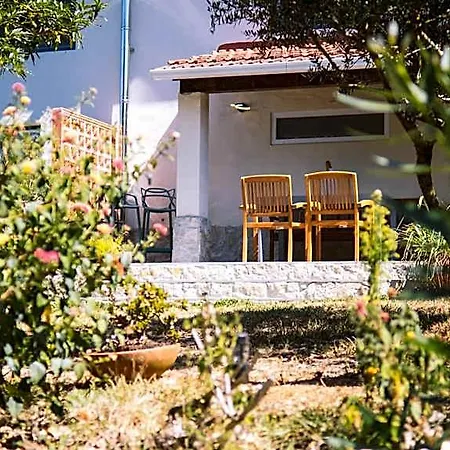 Bed & Breakfast Quinta Japonesa