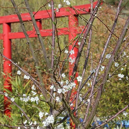 Quinta Japonesa Frühstückspension Carvalhal Bemfeito