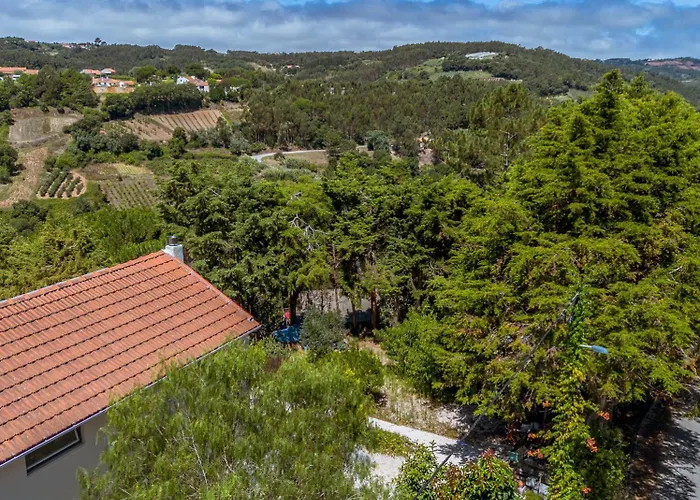 第五日住宿加早餐旅馆