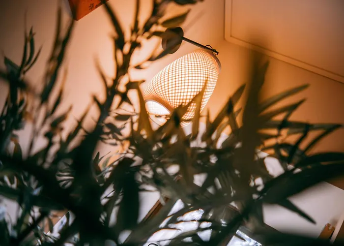 Nocleg ze śniadaniem Quinta Japonesa Carvalhal Bemfeito