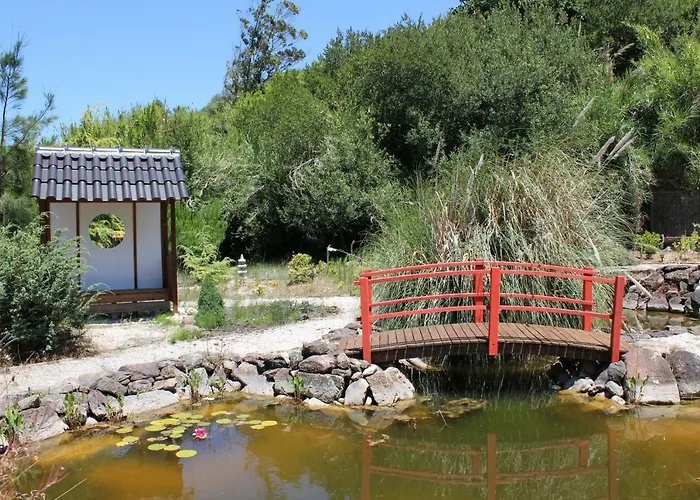 第五日住宿加早餐旅馆 4* Carvalhal Bemfeito