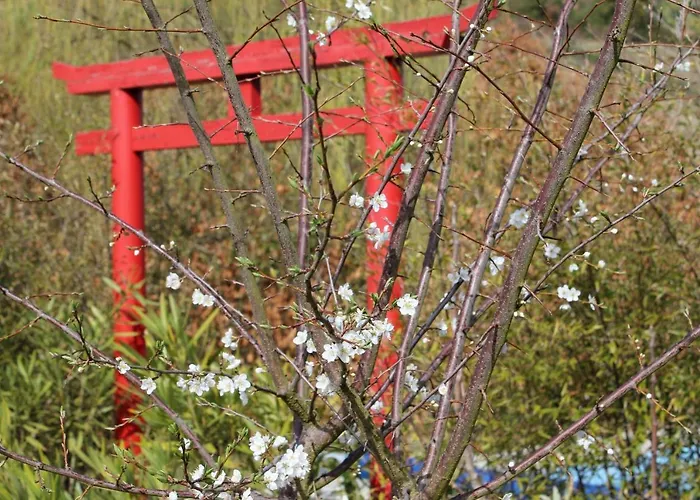 Quinta Japonesa Nocleg ze śniadaniem Carvalhal Bemfeito